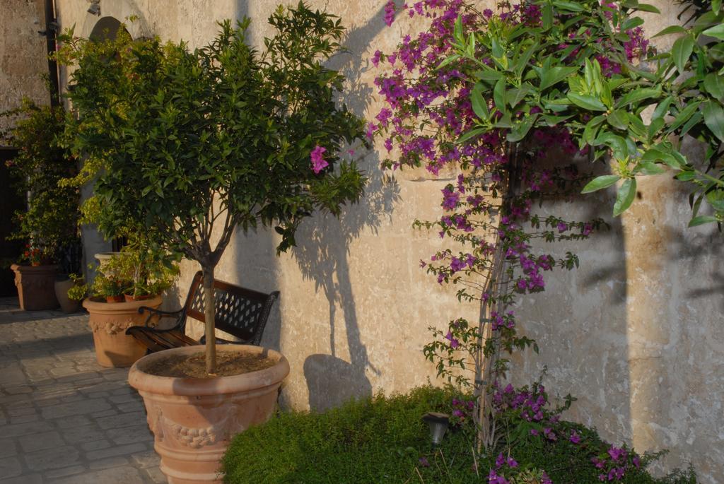 Castello Conti Filo Bed & Breakfast Torre Santa Susanna Exterior photo